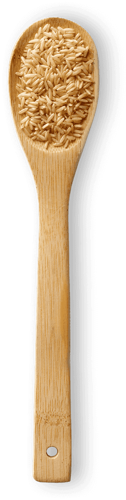 Brown Rice macro photo