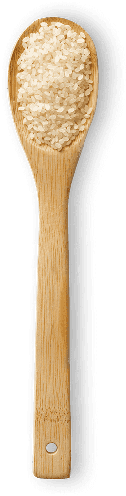 Sushi / Koshikari macro photo